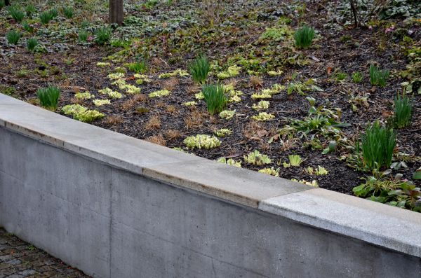 Concrete Wall Construction in Federal Way