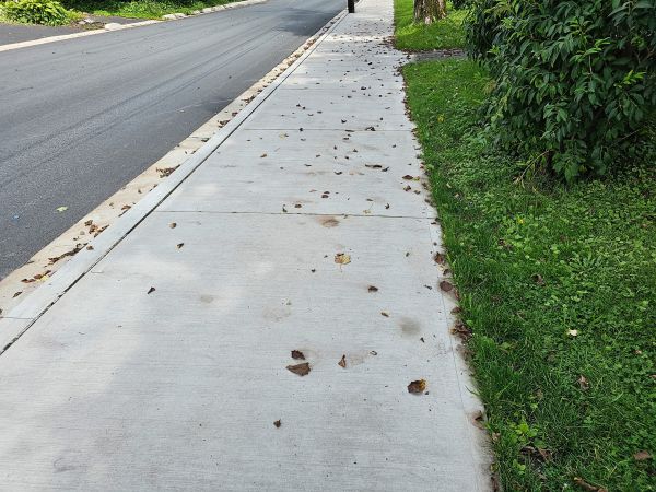 Sidewalk Renovation in Federal Way