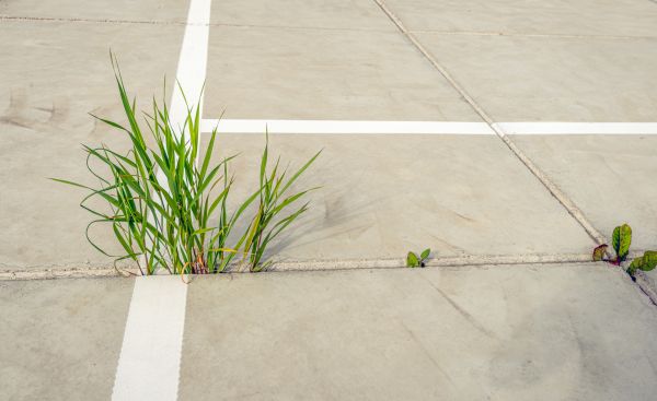 Concrete Parking Installation in Federal Way